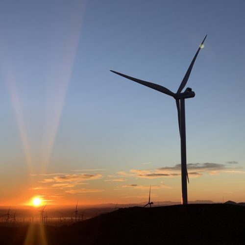 Oasis Power